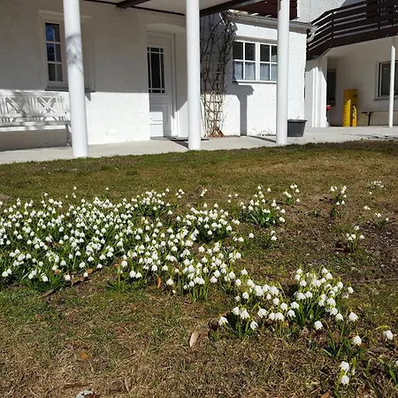 St Lukas Apartament