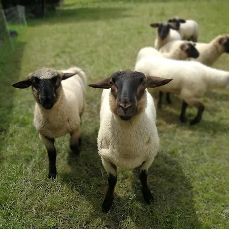 St Lukas * オーバーアマーガウ