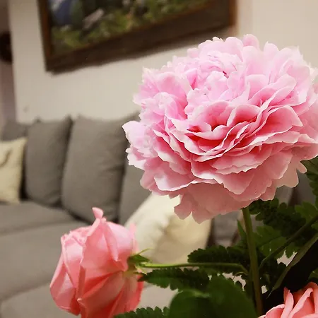 St Lukas アパート *