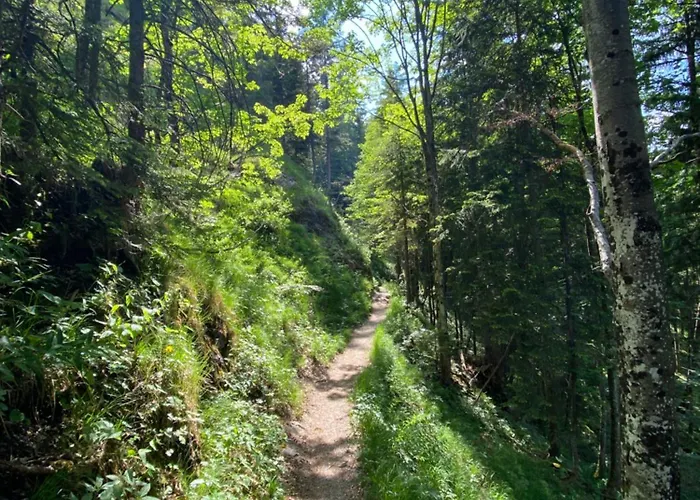 St Lukas Appartement *