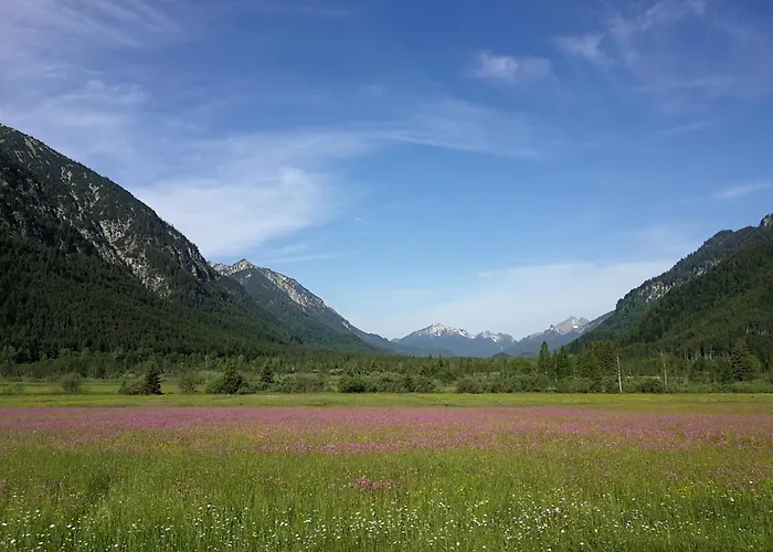 St Lukas اوبرامرغو