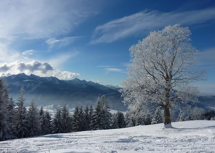 St Lukas اوبرامرغو